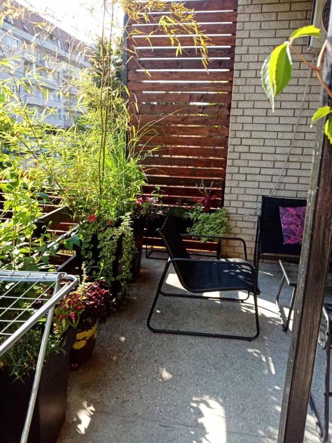 ג'אגודינה Dusica Apartmani מראה חיצוני תמונה