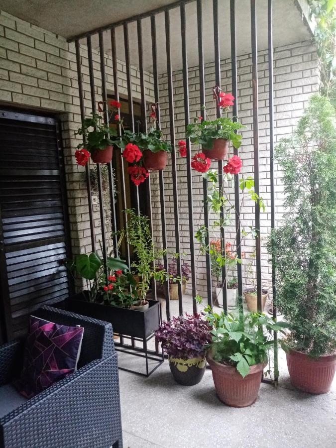 ג'אגודינה Dusica Apartmani מראה חיצוני תמונה